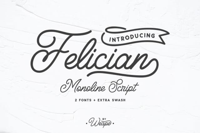 Felician Font by Weape Design — Script Handwritten Font