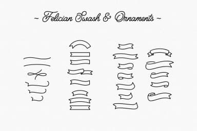 Felician Font by Weape Design — Script Handwritten Font — thumbnail 9