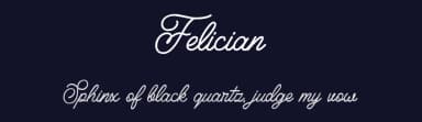 Felician by Weape Studio — Script Handwritten Font — thumbnail 2