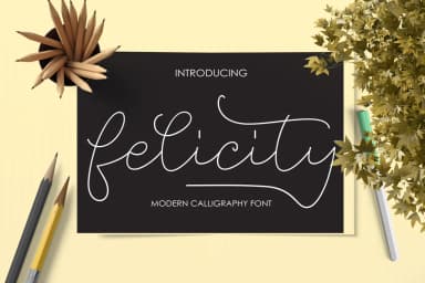 Felicity Font by Picatype Studio — Script Handwritten Font — thumbnail 1