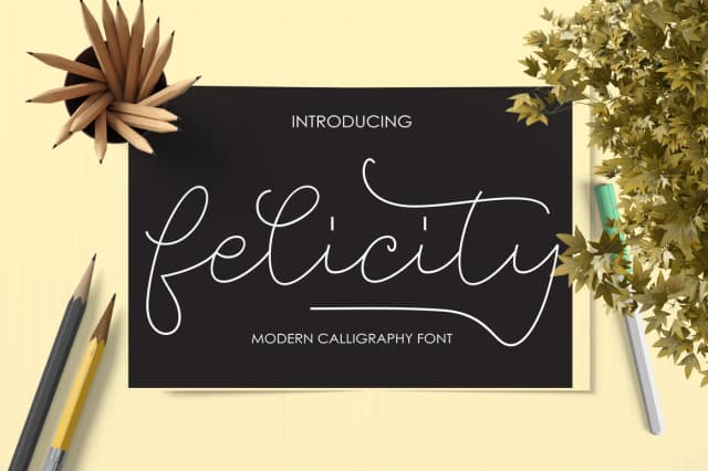 Felicity Font by Picatype Studio — Script Handwritten Font
