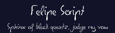 Felipe Script by Javier De la Fuente — Script Handwritten Font — thumbnail 2