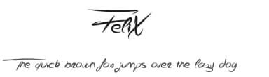 FeliX by Qkila — Script Handwritten Font — thumbnail 1