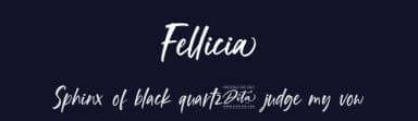 Fellicia by Ditatype — Script Handwritten Font — thumbnail 2