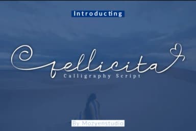 Fellicita Font by Mozyen Studio — Script Handwritten Font — thumbnail 1