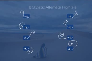 Fellicita Font by Mozyen Studio — Script Handwritten Font — thumbnail 2