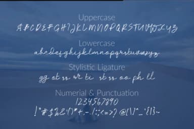 Fellicita Font by Mozyen Studio — Script Handwritten Font — thumbnail 3