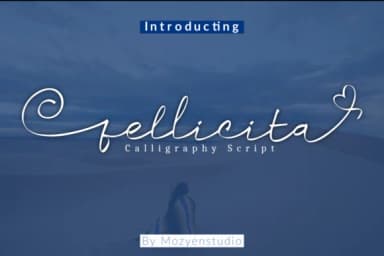 Fellicita Font by Mozyen Studio — Script Handwritten Font — thumbnail 8