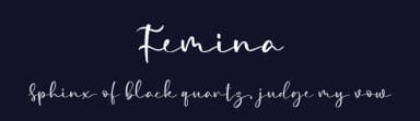 Femina by Blankids — Script Handwritten Font — thumbnail 2