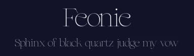 Feonie by ReyreyBlue — Serif Font — thumbnail 2