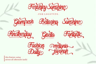 Ferishley Sunshine Font by Holydie Studio — Script Handwritten Font — thumbnail 4