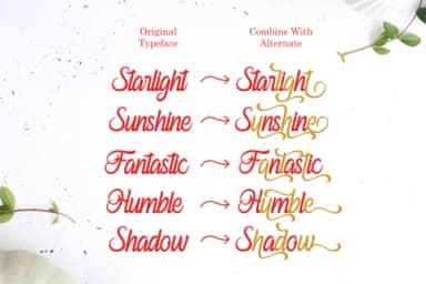 Ferishley Sunshine Font by Holydie Studio — Script Handwritten Font — thumbnail 5