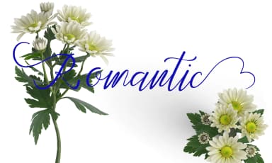 Feronika Font by Cek Creative — Script Handwritten Font — thumbnail 4