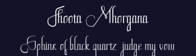 Fhoota Mhorgana by TeType Studio — Script Handwritten Font — thumbnail 2