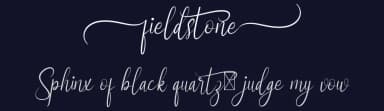 Fieldstone by Calligraphy Fonts — Script Handwritten Font — thumbnail 2
