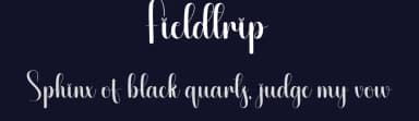 Fieldtrip by Scratchones — Script Handwritten Font — thumbnail 2