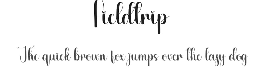 Fieldtrip by Scratchones — Script Handwritten Font