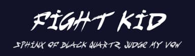 Fight Kid by Iconian Fonts — Script Handwritten Font — thumbnail 2