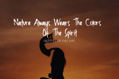 Fighter Font by senoajifont by senoajifont — Script Handwritten Font — thumbnail 3