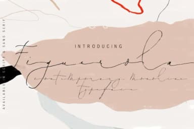 Figuerola Font by Blue Robin Design Shop — Script Handwritten Font — thumbnail 1