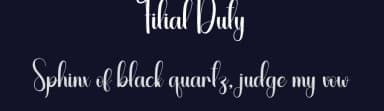 Filial Duty by Scratchones — Script Handwritten Font — thumbnail 2
