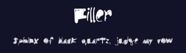 Filler by Typo — Script Handwritten Font — thumbnail 2