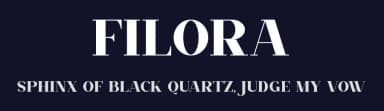 Filora by Slide Shoot Type — Serif Font — thumbnail 2