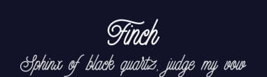 Finch by Omotu Studio — Script Handwritten Font — thumbnail 2