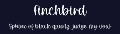 Finchbird by Graphix Line Studio — Script Handwritten Font — thumbnail 2