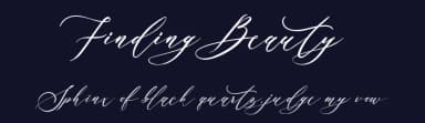 Finding Beauty by Din Studio — Script Handwritten Font — thumbnail 2