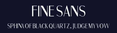Fine Sans by Galdino Otten Fonts — Sans Serif Font — thumbnail 2