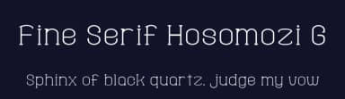 Fine Serif Hosomozi G by Goma Shin — Serif Font — thumbnail 2