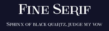 Fine Serif by Galdino Otten Fonts — Serif Font — thumbnail 2