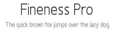 Fineness Pro by Asley Cruz — Sans Serif Font — thumbnail 1