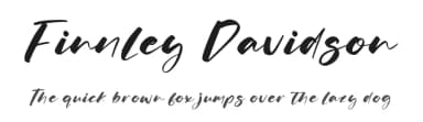 Finnley Davidson by Letterena Studios — Script Handwritten Font — thumbnail 1