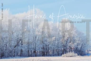 Fiolist Tame Font by ShiftStudios — Script Handwritten Font — thumbnail 2