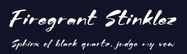 Firegrant Stinklez by Letterena Studios — Script Handwritten Font — thumbnail 2