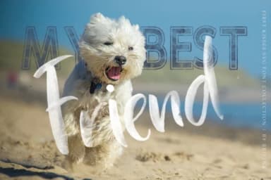 First Kisses Font by Red Ink — Script Handwritten Font — thumbnail 6