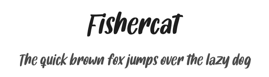 Fishercat by Maulana Creative — Script Handwritten Font