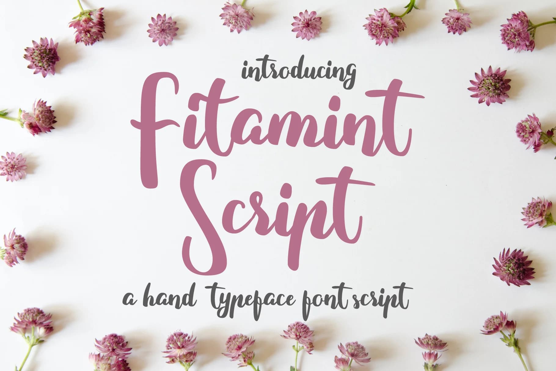 Fitamint Script Font by semuthitam — Script Handwritten Font