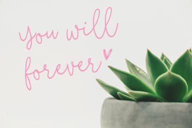 Fixity Font by Studio_Art — Script Handwritten Font — thumbnail 4