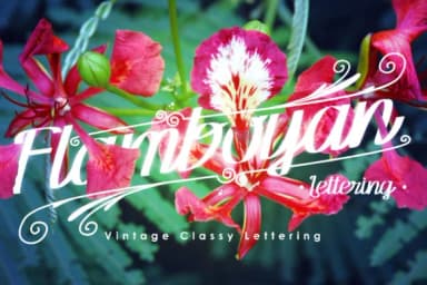 Flamboyan Font by inumocca_type — Script Handwritten Font — thumbnail 4