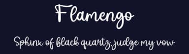 Flamengo by Erlina Graphic — Script Handwritten Font — thumbnail 2