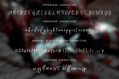 Flaming Carrot Font by thomasaradea — Script Handwritten Font — thumbnail 3