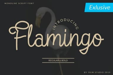 Flamingo Font by Trim Studio — Script Handwritten Font — thumbnail 1