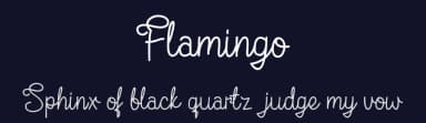 Flamingo by Trim Studio — Script Handwritten Font — thumbnail 2