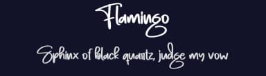 Flamingo by Scratchones — Script Handwritten Font — thumbnail 2