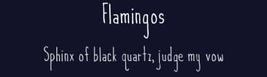 Flamingos by Wellscript Studio — Script Handwritten Font — thumbnail 2
