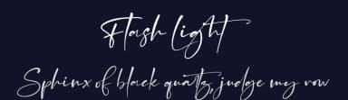 Flash Light by Perspectype Studio - Letterena.com — Script Handwritten Font — thumbnail 2