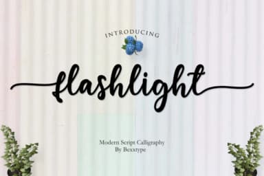 Flashlight Script Font by Bexx Type — Script Handwritten Font — thumbnail 1
